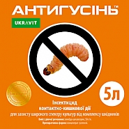 АНТИГУСІНЬ, КС® Інсектицид контактної дії для захисту широкого спектру культур від комплексу шкідників.