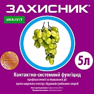 ЗАХИСНИК, КС® Фунгіцид системної дії проти широкого спектру хвороб рослин.